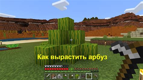 Необходимые условия для роста и созревания арбуза в Minecraft