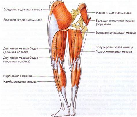 Неостановимый удар металлического бедра