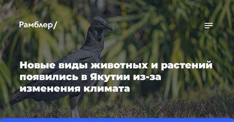 Новые виды животных и живописный мир