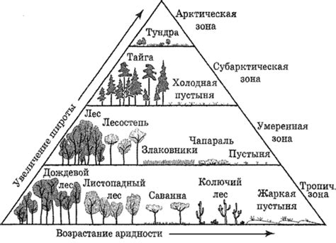 Новые типы биомов