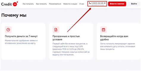 Номер телефона для консультации и поддержки