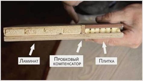 Обзор, особенности, преимущества