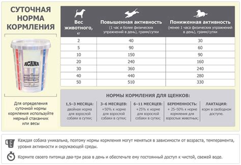 Обзор бонусов и осложнений от кормления собак