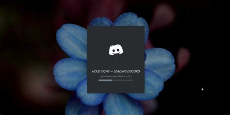 Обновите приложение Discord на телефоне до последней версии