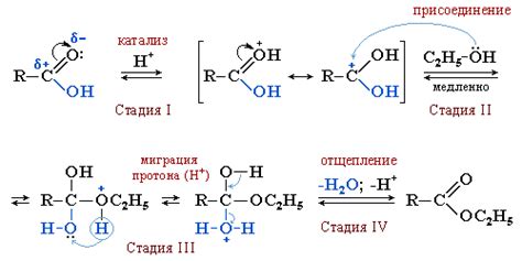 Образование сульфатов