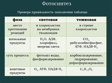 Образование фаз и их взаимодействие