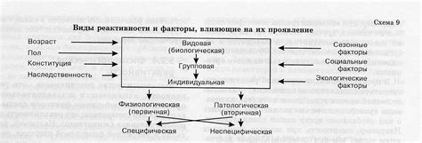 Образование щелочей и их реактивность