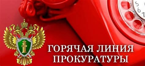 Общая информация о горячей линии