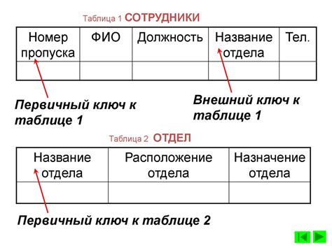 Общее определение и назначение