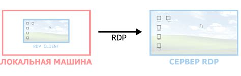 Ограничения и возможные проблемы при применении фиторемедиации