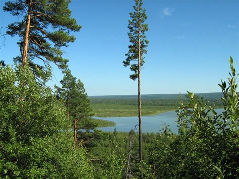 Озеро Плахино в Абанском районе