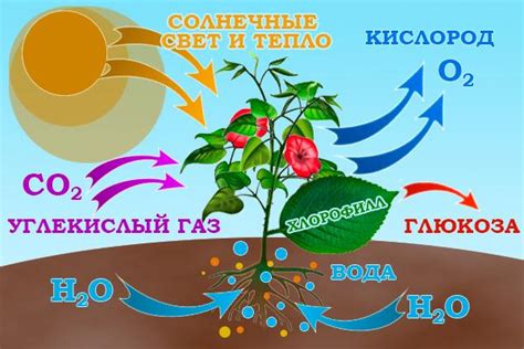 Окисление веществ в воздухе