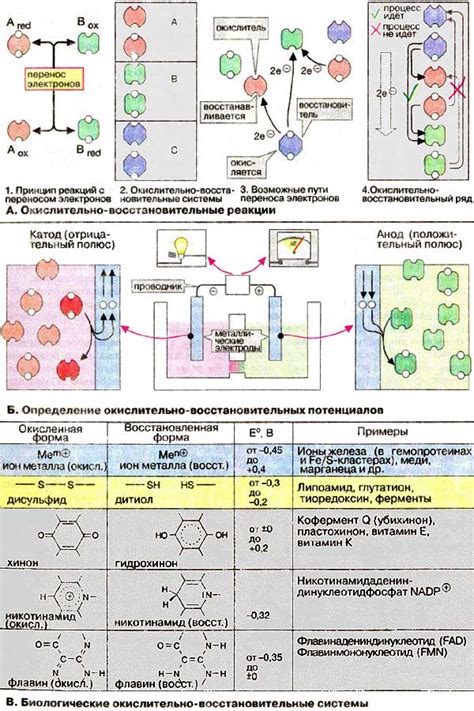 Окислительно-восстановительные реакции в медицине