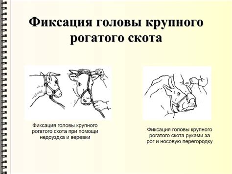 Окончательная фиксация и укрепление