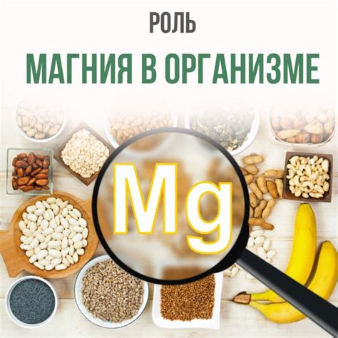 Оксид магния – роль в живом организме