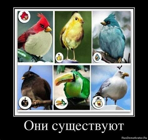 Они существуют!