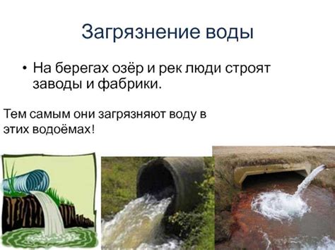 Опасности для водных экосистем: проблема замутненности