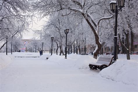 Опека в городе зимой: