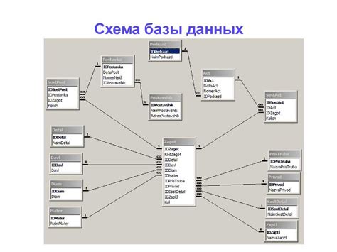 Описание базы