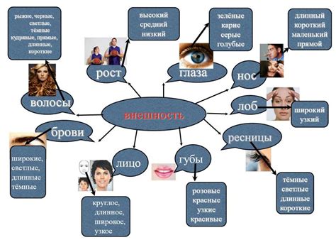 Описание внешности и поведения всполоха