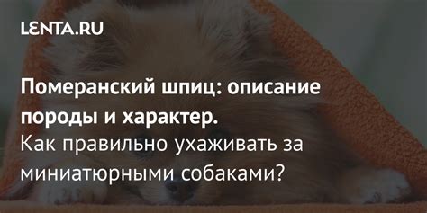 Описание игры и ее особенности