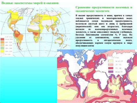 Описание и содержание биомов океана