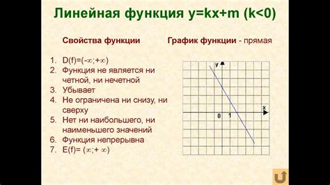 Описание и функция