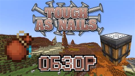 Описание мода Tough As Nails