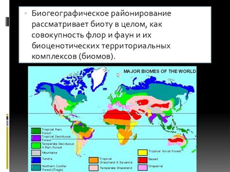 Определение биомов и их характеристик