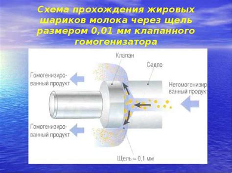 Определение гомогенизации металла