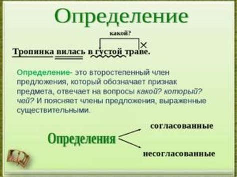 Определение и их особенности