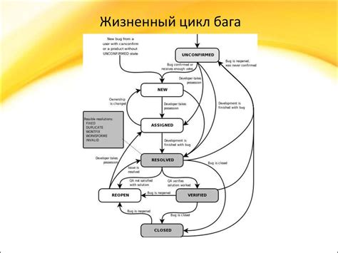 Определение и поиск бага