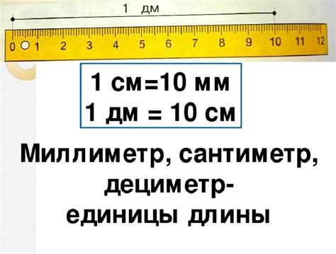 Определение и примеры использования