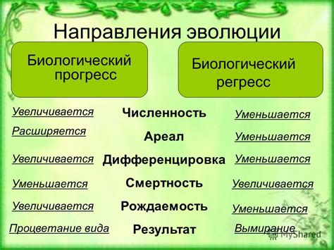 Определение и сущность термоусадки