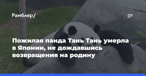 Определение причины болезни панды