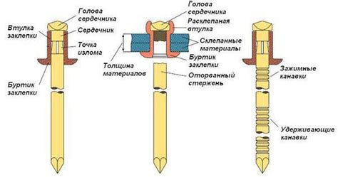 Определение размеров и мест расположения имитации заклепок