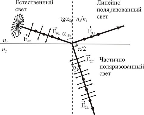 Определение угла брюстера для металлов