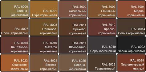 Определение цвета RAL 8019 и его особенности