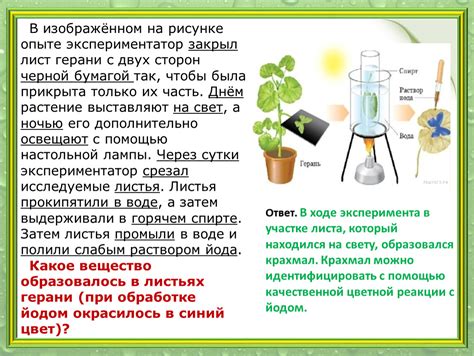 Определите биом, в котором он генерируется