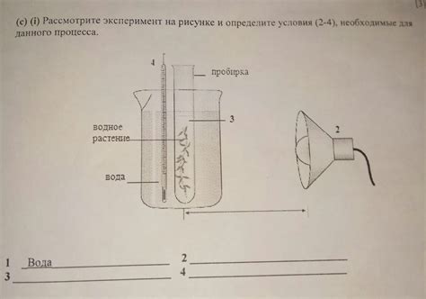 Определите условия эксплуатации