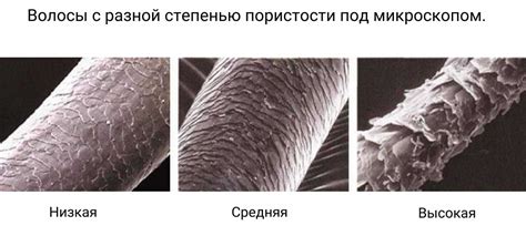 Определить степень повреждения