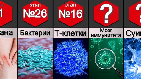 Оптимальная температура хранения и защита от бактерий