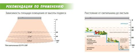 Оптимальное использование света для развития травы