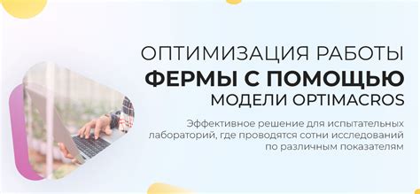 Оптимизация работы фермы и получение лучших результатов