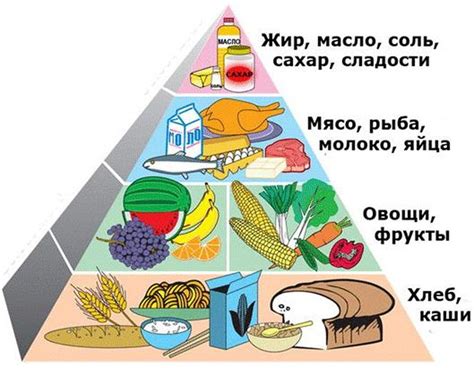 Оптимизация рациона: растительные продукты для пауков