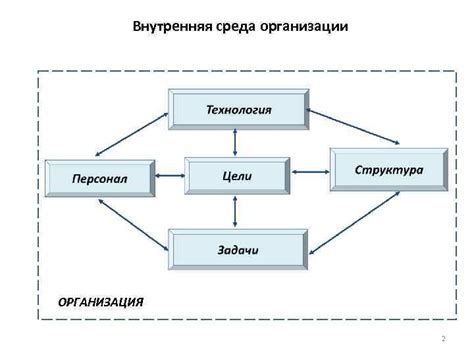 Организационные аспекты и необходимое оборудование