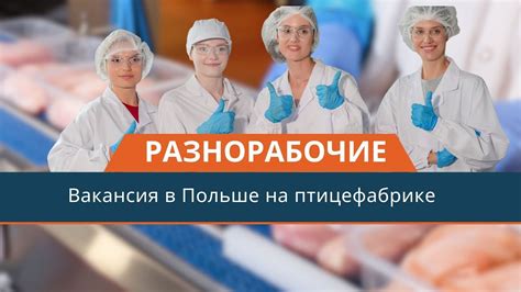 Организация трудоустройства на птицефабрике