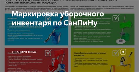 Организуйте свой инвентарь по категориям