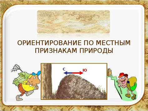 Ориентируйся по природным признакам