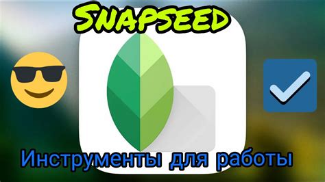 Освойте основные инструменты фоторедактора на телефоне